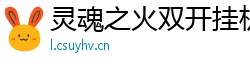 灵魂之火双开挂机辅助助手灵魂之火游戏介绍